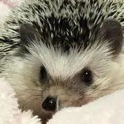 でででの画像