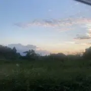 カサの画像