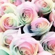 kiraring【プロフご確認下さい】の画像