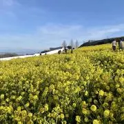 mocochanの画像