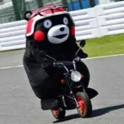 目の下にくまモン