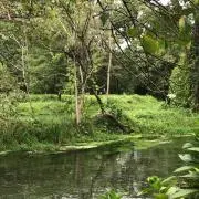 ぼるぼ