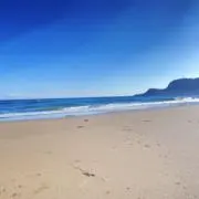 だい