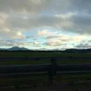 ちむ