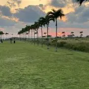 nwgnの画像