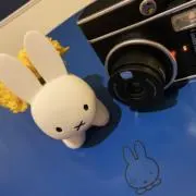 maiの画像