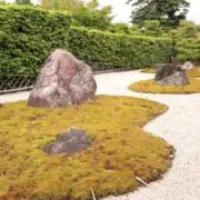 ぶどうの画像