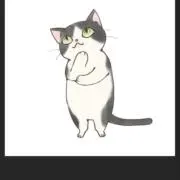 もふの画像