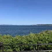 アルパきゃーのの画像