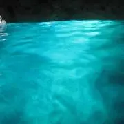 にしの画像