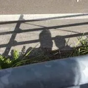 ひろ