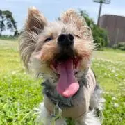笑顔犬♪