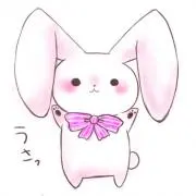 rabbitの画像