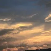 めるんの画像