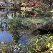 mst.LALの画像