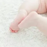 さつの画像
