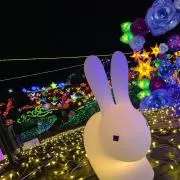 ぱるこの画像