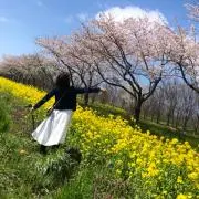 あやな