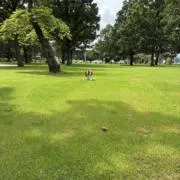 のり⭐️即日発送の画像