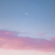 POMの画像