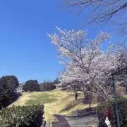 mattas331の画像