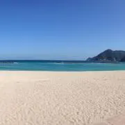 温泉ネズミの画像