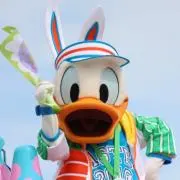 A♡プロフ必読の画像