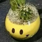 Mi～