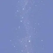 ぴのの画像