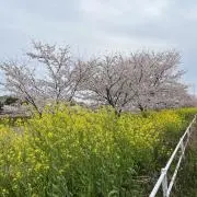 さっちの画像