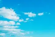 豆電球の画像