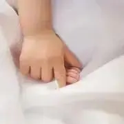 MoMoの画像