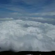 ワッチ