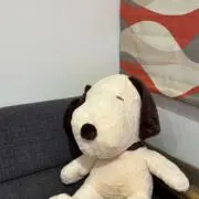aoi⭐️の画像
