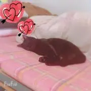 ♡＆♡