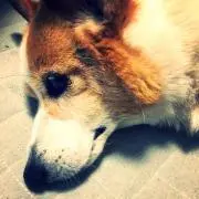 音空