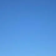 ぴよの画像