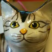 てびちの画像