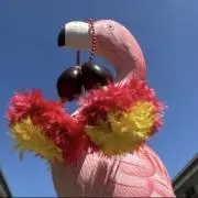 Māhealani ♡土日祝お休みですの画像