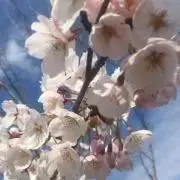 ままちゃん