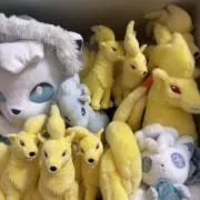 しろろん⭐︎の画像