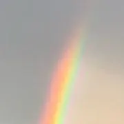HANAの画像