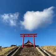 みんたの画像