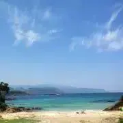 ずーの画像