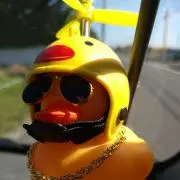 ヒロの画像