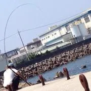 無