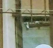 ななほしてんとう