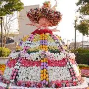 ゆいぽんの画像