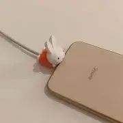さやの画像