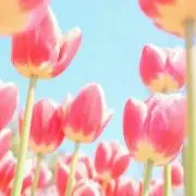 とも汰の画像